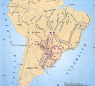 Tupí y Guaraní, su desplazamiento en el continente americano